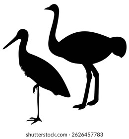 silhouette ostrich , silhouette of ostrich