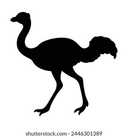 silhouette of a ostrich on white