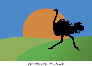 The silhouette of an ostrich. An ostrich runs across the savannah against the background of the setting sun.