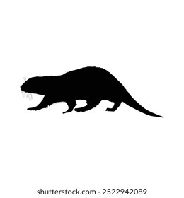 Silhouette of an otter walking, depicted in profile, isolated on white background.