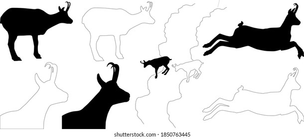 silhouette and outline of Alpine Chamois (Rupicapra rupicapra), vector on white background