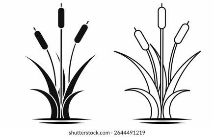 Silhouette and outline of cattail grass plant with water reflection. Vector botanical illustration of bulrush or Typha. Great for nature, wetland, and eco design themes