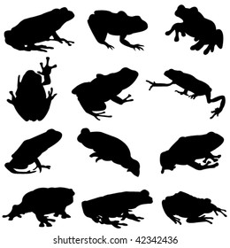 Silhouette outline of the different types of frogs