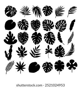 Silhouette, outline or shadow of various tropical plants. Monstera outline, palm branch, cactus.