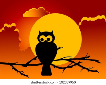 Silhouette of the owl against the full moon