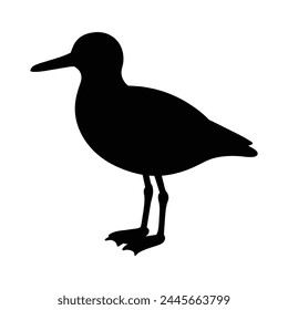 silhouette of a oystercatcher bird