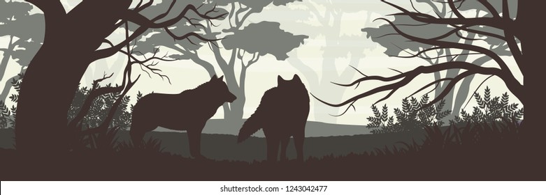 Silhouette. Una manada de dos lobos en un bosque denso. Vida silvestre de Europa, Estados Unidos y Canadá. Paisaje de vectores realistas