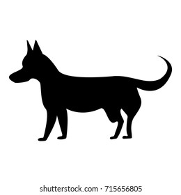 Silhouette of a painted dog