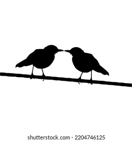 Silhouette of the Pair Bird Perched on the Electrical Wire Base on my Photography. Vector Illustration