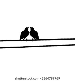 Silhouette of the Pair Bird Perched on the Electrical Wire Base on my Photography. Vector Illustration