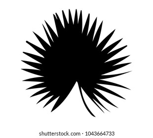  silhouette of a palm leaf