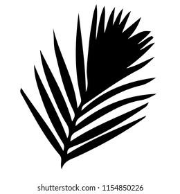 silhouette palm leaf