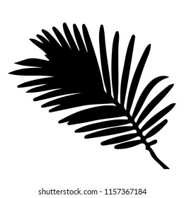 silhouette palm leaf