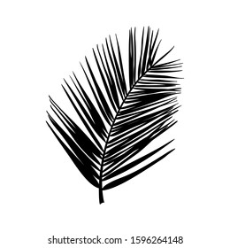 Silhouette of a palm leaf. Black tropical plant isolated on white background. Vector illustration for creating shadows, patterns and logos