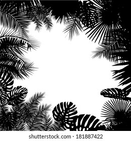 silhouette of palm leaf frame. vector