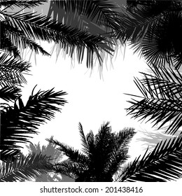 silhouette of palm leaf frame. vector