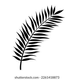 Silhouette Palm Leaf Isolated White Background, Vector Illustration