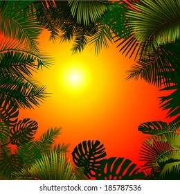 silhouette of palm leaves in the sunset background frame. vector 