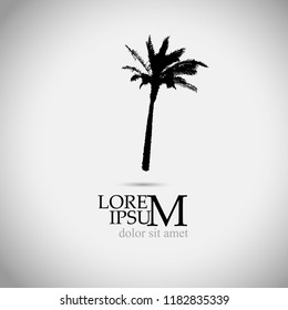 Silhouette of a palm tree