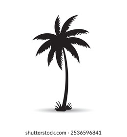 silhouette palm tree isolated on white background , Design of palm trees for education poster vector illustration