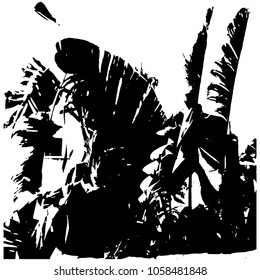 Silhouette of a palm tree. Leaves of palm tree. Vector isolated illustration.