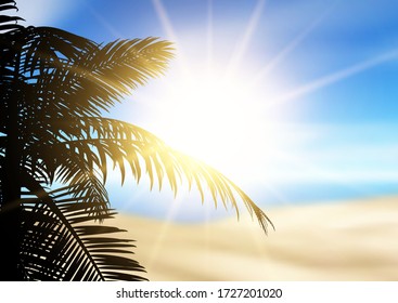 Silhouette of a palm tree on a defocussed beach landscape
