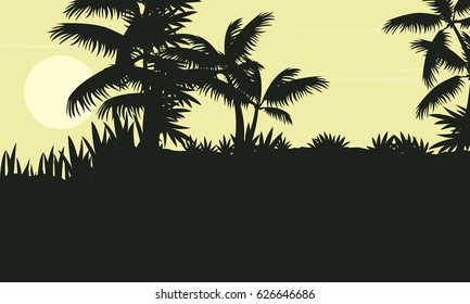 Silhouette of palm tree on jungle scenery