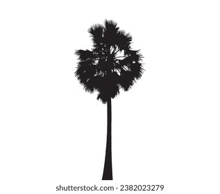 silhouette of  palm tree on white background vector art, black color