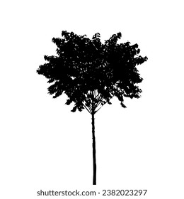 silhouette of  palm tree on white background vector art, black color