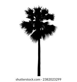 silhouette of  palm tree on white background vector art, black color