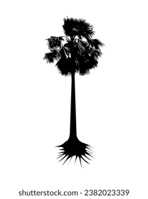 silhouette of  palm tree on white background vector art, black color