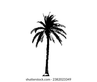 silhouette of  palm tree on white background vector art, black color