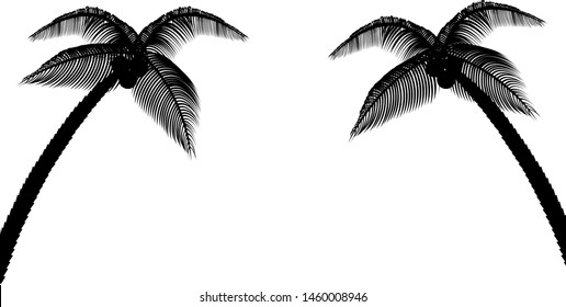 
Silhouette of a palm tree. Sketch, background, stencil. Vector illustrated