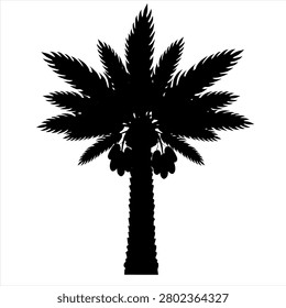 Silhouette of a palm tree stands tall against white. Fuzzy fronds arch gracefully from the trunk. Fruit hangs low, clustered near the crown. Sturdy trunk shows texture and natural lines
