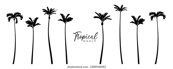 Silhouette palm tree and sunset sky in flat icon design. Vector illustration.