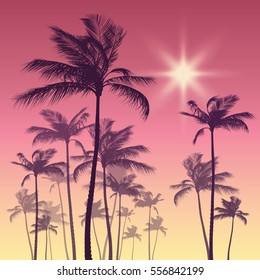 Silhouette of palm tree and sunset sky