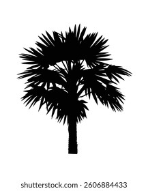  Silhouette of a Palm Tree - Tropical Nature Art