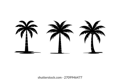 Iconos del vector de la palmera de la silueta en un diseño tropical simple conveniente para las ilustraciones del verano de los gráficos temáticos de la playa y los Elementos decorativos inspirados de la naturaleza