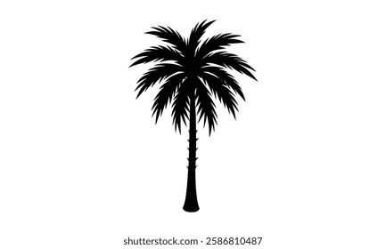 silhouette palm tree white background