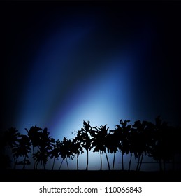 Silhouette of palm trees against a background of dark sky
