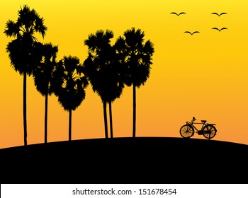 Silhouette of palm trees and bike at sunset. Vector. eps 10 