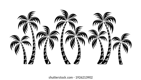 silhouette palm trees isolated background. Beautiful vectro palma tree set vector illustration - Vector