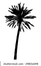 silhouette of palm trees realistic vector illustration isolated on white background