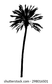 silhouette of palm trees realistic vector illustration isolated on white background