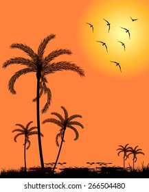 Silhouette palm trees at sunset -Vector illustration  