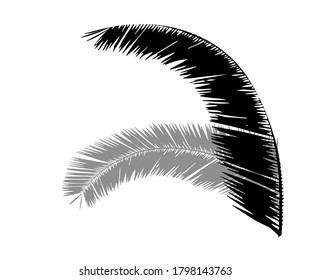 The silhouette of palm trees. Vector illustration