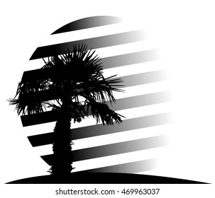Silhouette of Palm Trees. Vector Illustration. EPS10