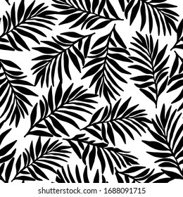 silhouette of palms leaves pattern on white background. Tropical pattern with branches