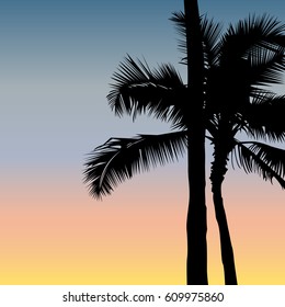 Silhouette of the palms on the sunset background. Evening beach