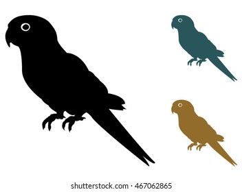 silhouette of parrot